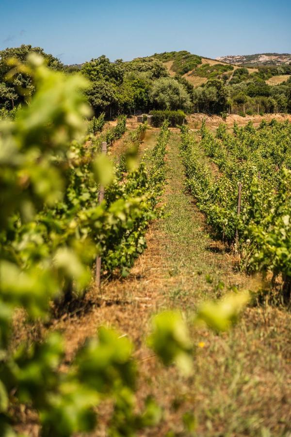 Locanda In Vigna Arzachena Extérieur photo