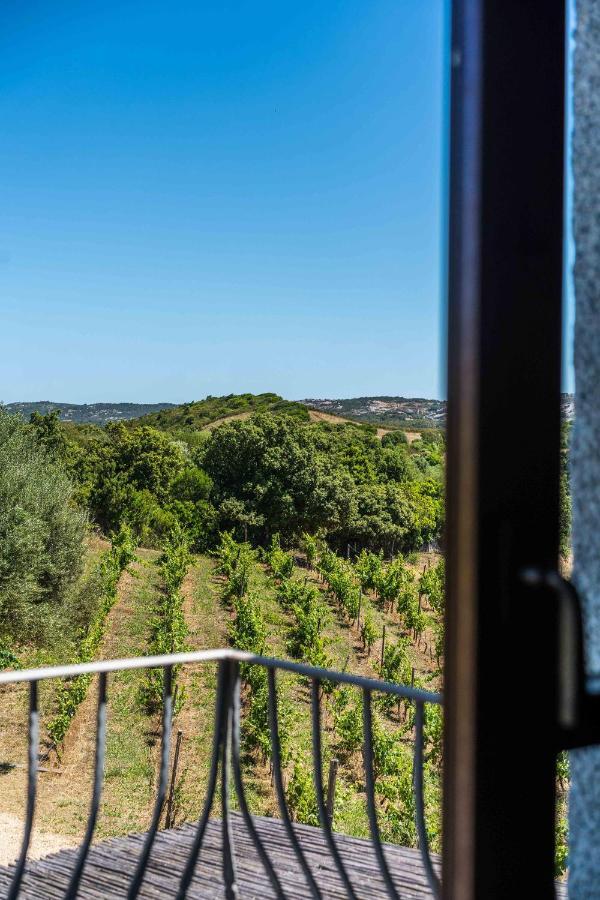 Locanda In Vigna Arzachena Extérieur photo