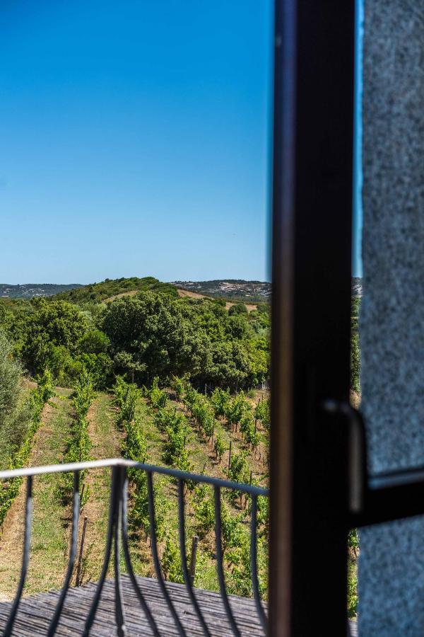 Locanda In Vigna Arzachena Extérieur photo